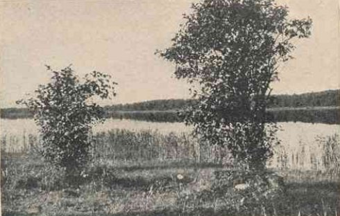 Lėno ežeras (J. Šurnos fot.)