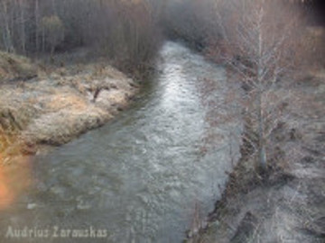 The river Akmena