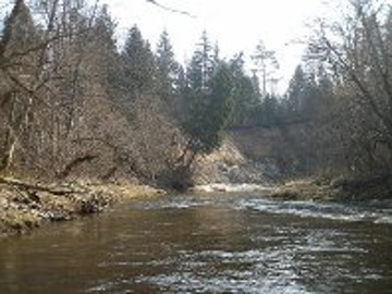 The river Akmena at Kreiviai village