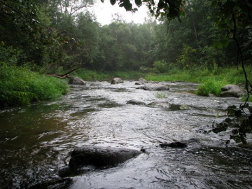 The river Akmena rapid Didzioji reva at low water level