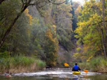Kayaking down the river Akmena