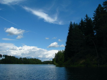 The pond of the river Baltoji Ancia