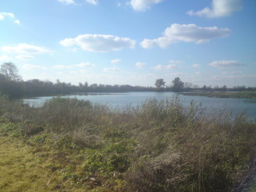 The river Barupe. The Serbinai pond