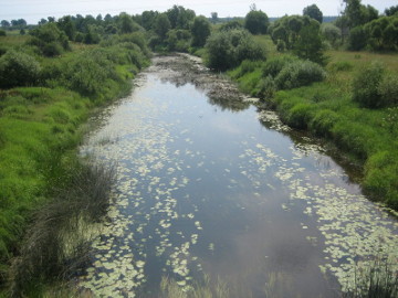 The river Birveta at Rimaldiske village