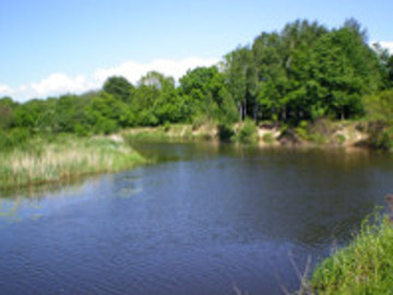 The river Dane at Tauralaukis village