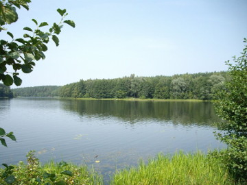 The river Dubinga. The Pabrade pond