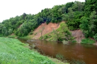 The river Dubysa at Jokavai village
