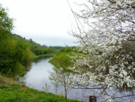 The river Dubysa at Kunigiskiai village