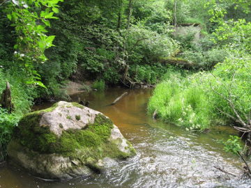 Laumiu boulder in the river Duksta