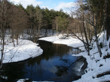 Река Дисна зимой