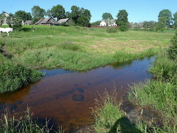 The river Gauja at Dieveniskes village