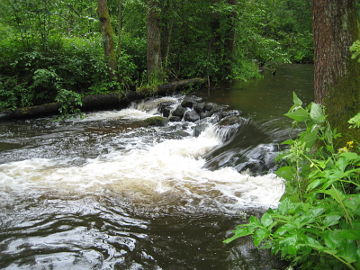 The river Gruda at Kirklis village