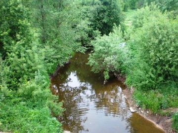 The river Gyneve