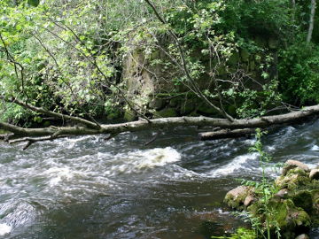 The river Jara. Small rapid at 8.8 km