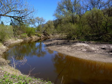 Река Йеся около 1км до устья. Foto:Danutė Paliokienė