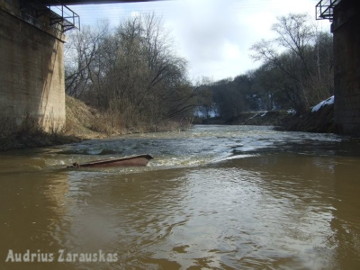 The river Jiesia. Rapid at 10.4 km
