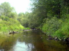 The river Jura at Rinde village