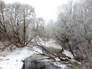 Kiršino upė žiemą