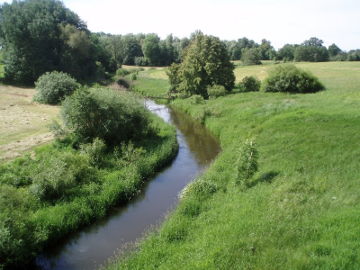 The river Kirsna at Pakirsniai village