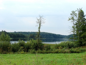 The lake Kriaunelis