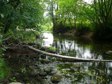 The river Kriauna