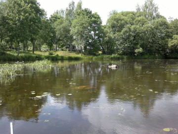 The river Kruoja. The Pakruojis pond