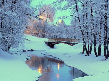 Река Купа у г. Купишкис зимой