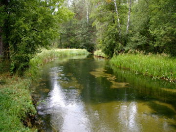 The river Lakaja near its source