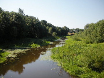 The river Lankesa near its mouth