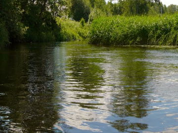 Река Левуо у деревни Левянишкис