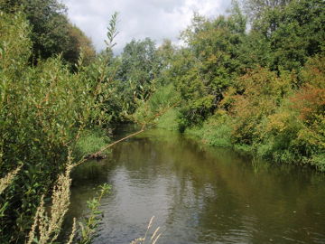 The river Lokysta at Rubinavas village