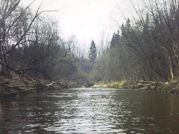 The river Lokysta at Medeliskes village