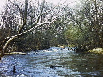 The river Lokysta at Zasinalis village