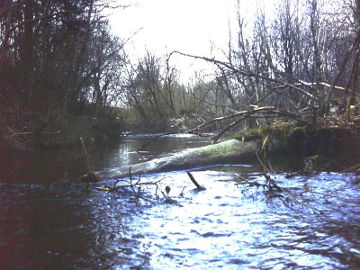Lokystos upė prie Rubinavo