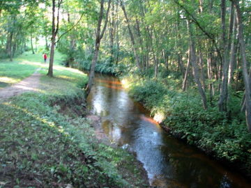 The river Lukne