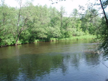 The river Merkys at Puvociai village