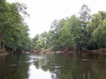 The river Merkys at Valkininkai village