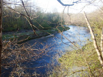 The river Minija. Dyburiai loop