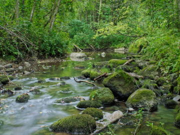 The river Misupe