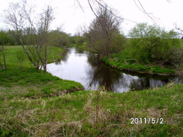 The river Musa at Miseikiai village