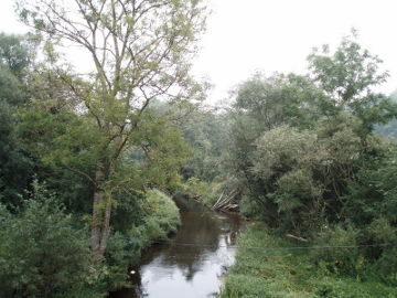 Вид на реку Мусе с моста дороги Муснинкай-Чёбишкис