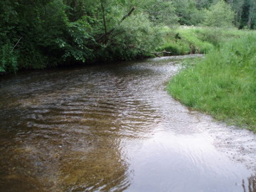 The river Muse at Virvyciai village