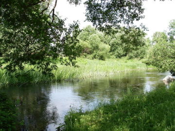 The river Nemunelis at Lielmemele village