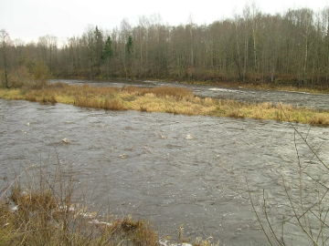 The river Nemunelis at Totorkalnis village