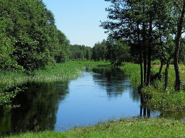 Река Нямунелис у деревни Русишкяй