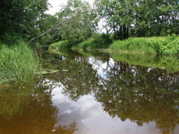 Река Нямунелис у деревни Виршкупенай