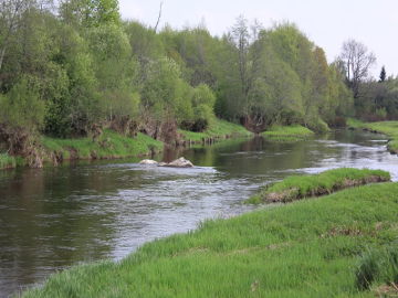 Река Нямунелис у деревни Симаняй