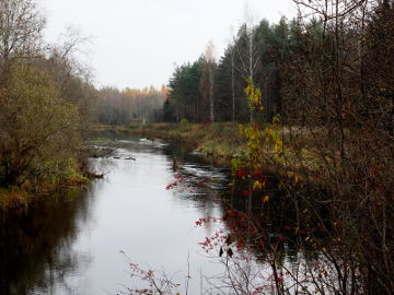 The river Nemunelis at Stirniskiai village