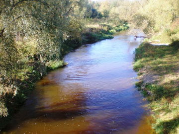 Obelies upė netoli Kėdainių
