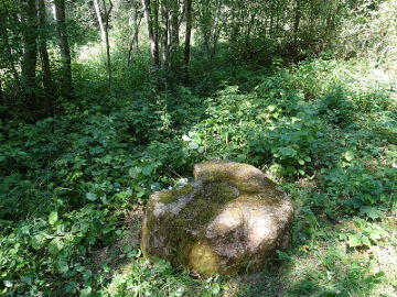 Mitologinis Katinų akmuo Pelyšos upės krante